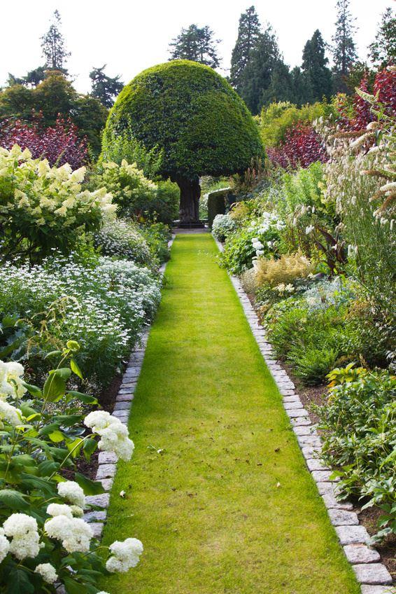 Pflanzen  fuer eine schoene Gartenstimmung